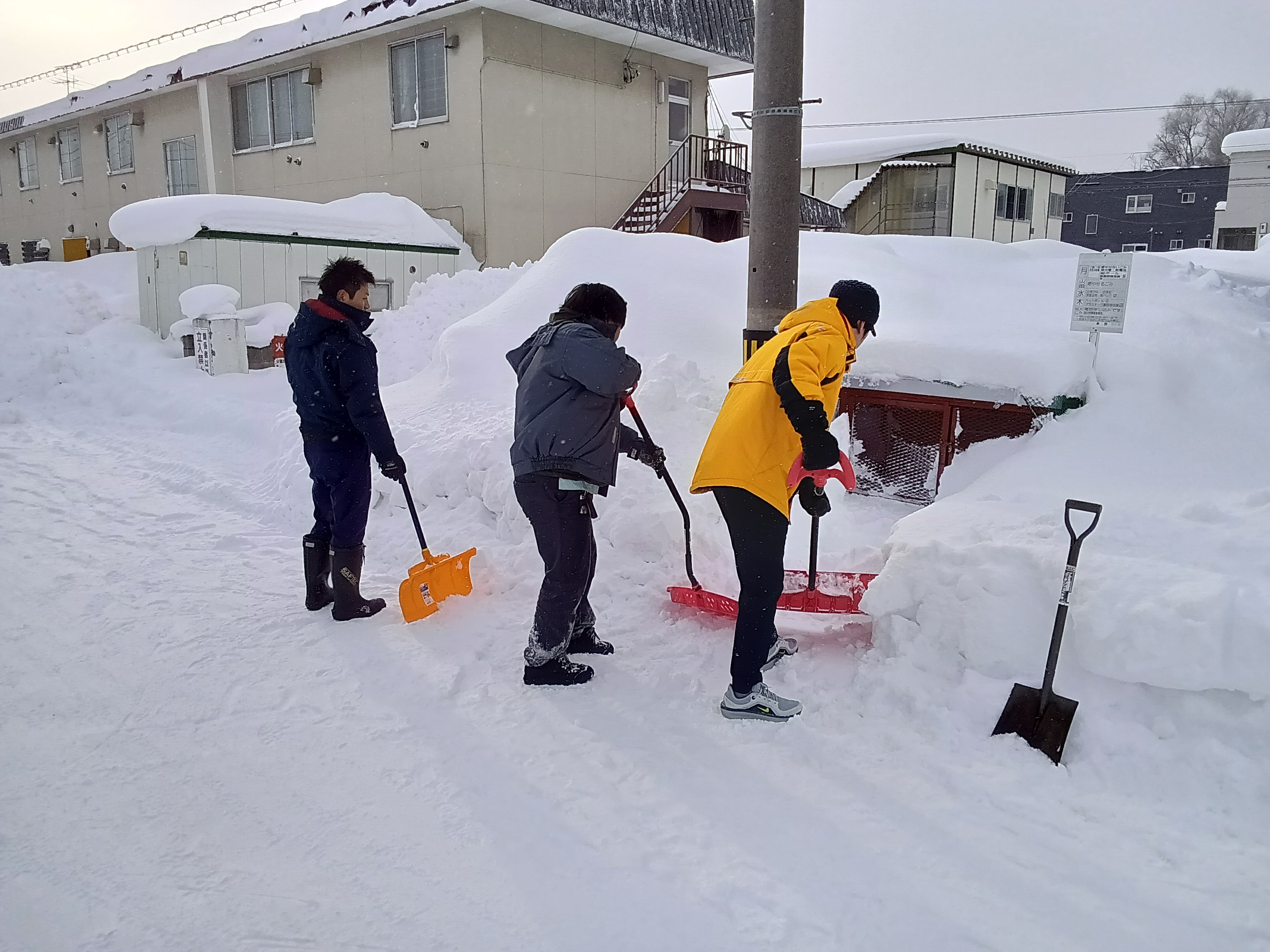 除雪活動の様子